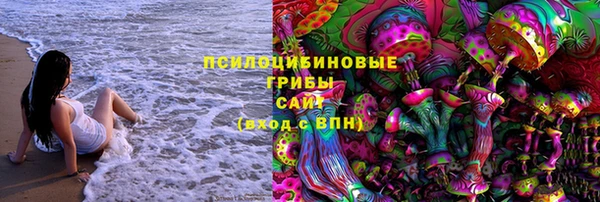 не бодяженный Белокуриха
